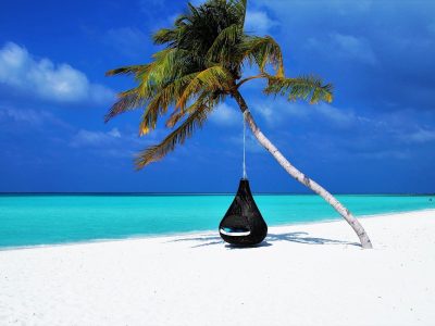 maldives-palm-tree-hammock-3220702 maldives-palm-tree-hammock-3220702
